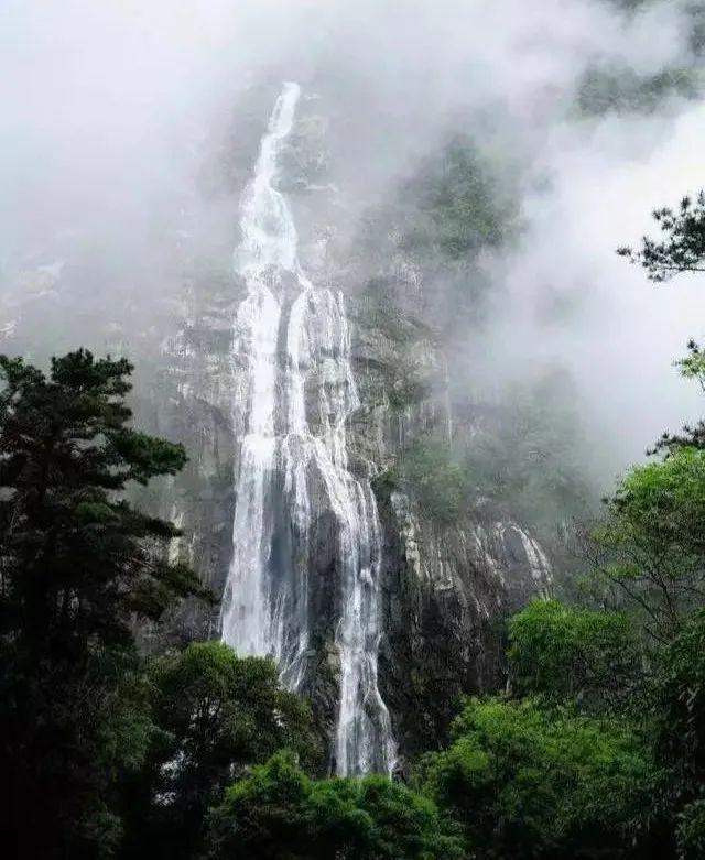 逃离天鹅森林